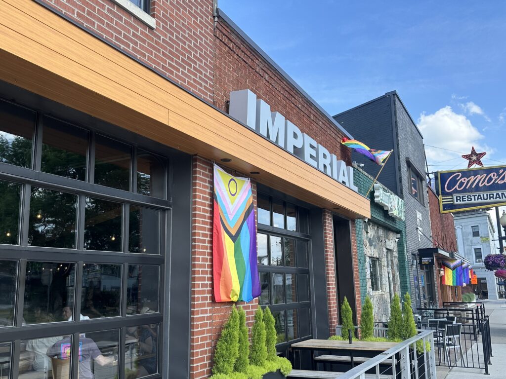 Streetview of Imperial Ferndale on Woodward Ave