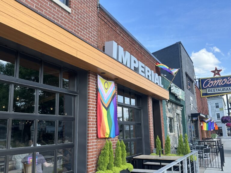 Streetview of Imperial Ferndale on Woodward Ave